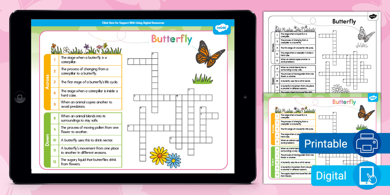 Butterfly Crossword Puzzle for K 2nd Grade (teacher made)