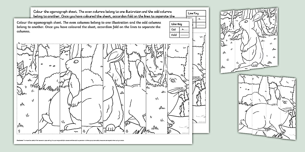 Grade 2/3 Creative Arts Rabbit Agamograph