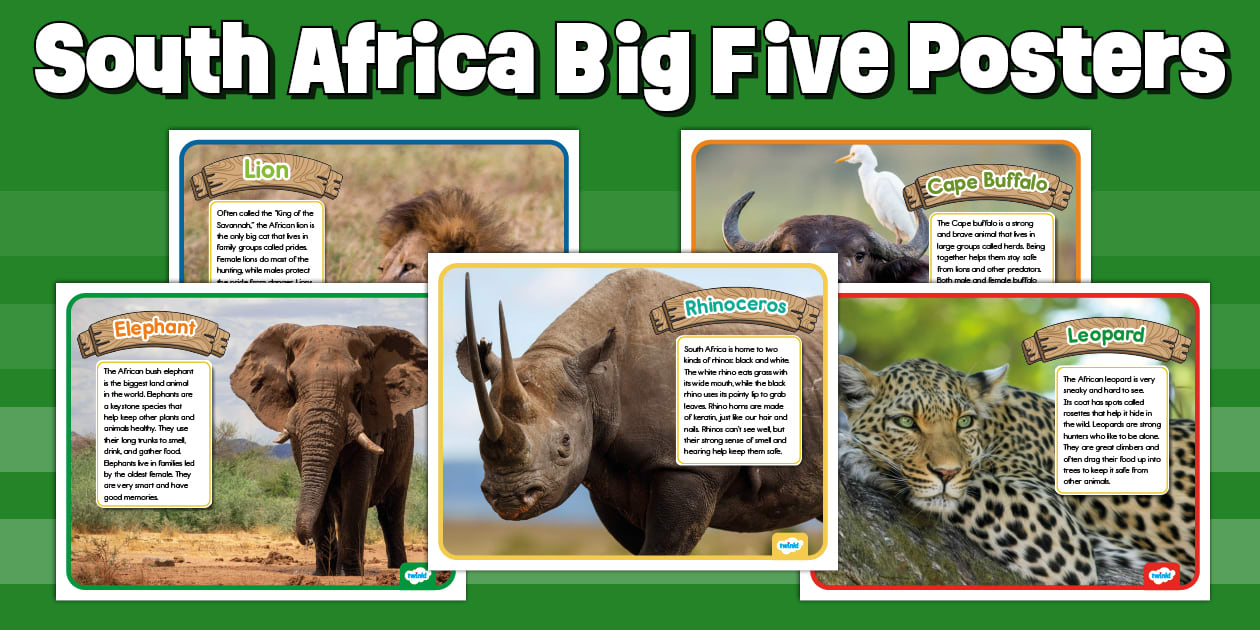 South Africa Big Five Posters South Africa Big Five Posters