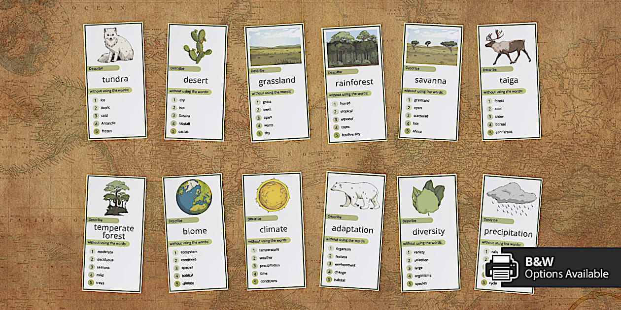 Biome Riddles Biomes: Can You Guess? Cards