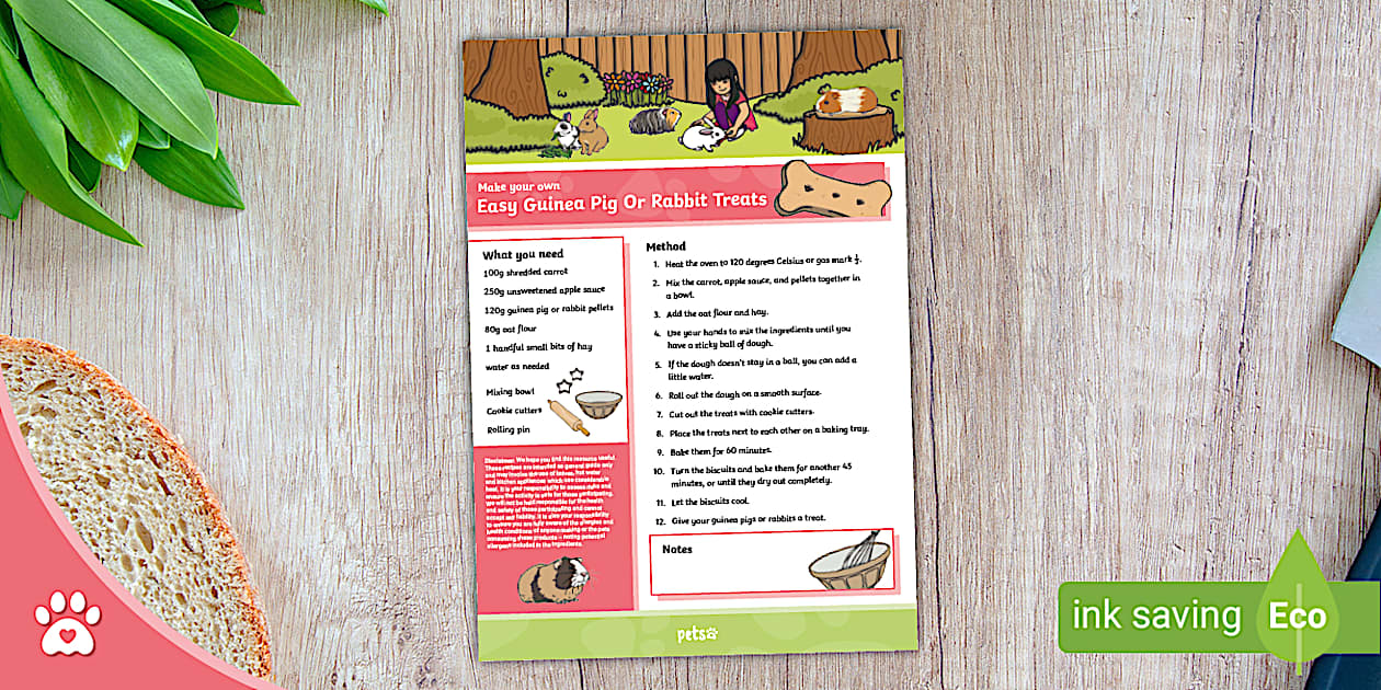 Photo inspiration: Fresh Look at Easy Guinea Pig And Rabbit Treats Recipe Sheet
