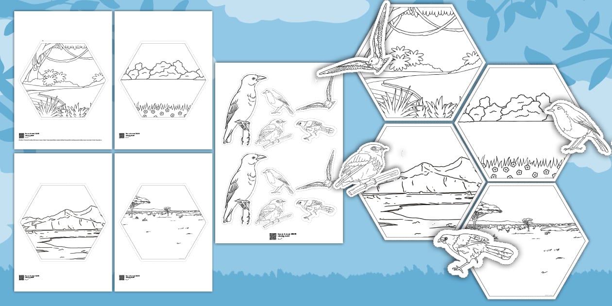 Birds Hexagon Display Colouring Activity (teacher made)