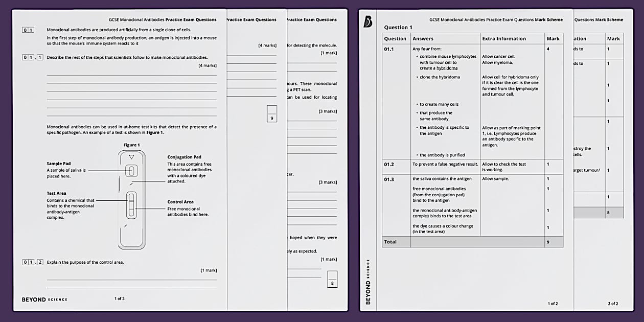 Monoclonal Antibodies Practice Exam Questions | KS4 | Beyond