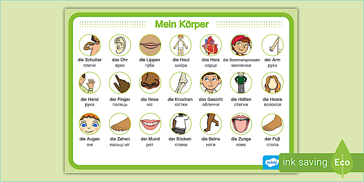 FREE! - Mein Körper (Teacher-Made) - Twinkl