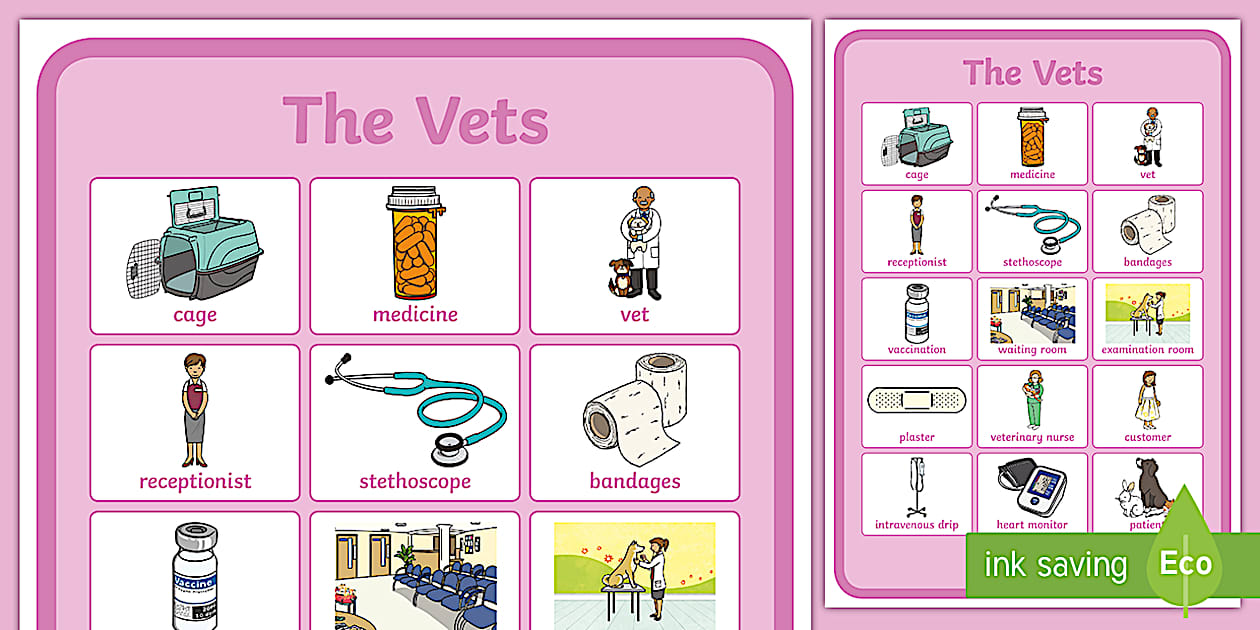 The Vets Aistear Vocabulary Poster (teacher made) - Twinkl
