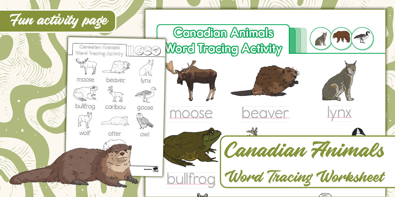 Canadian Animals Word Tracing Worksheet