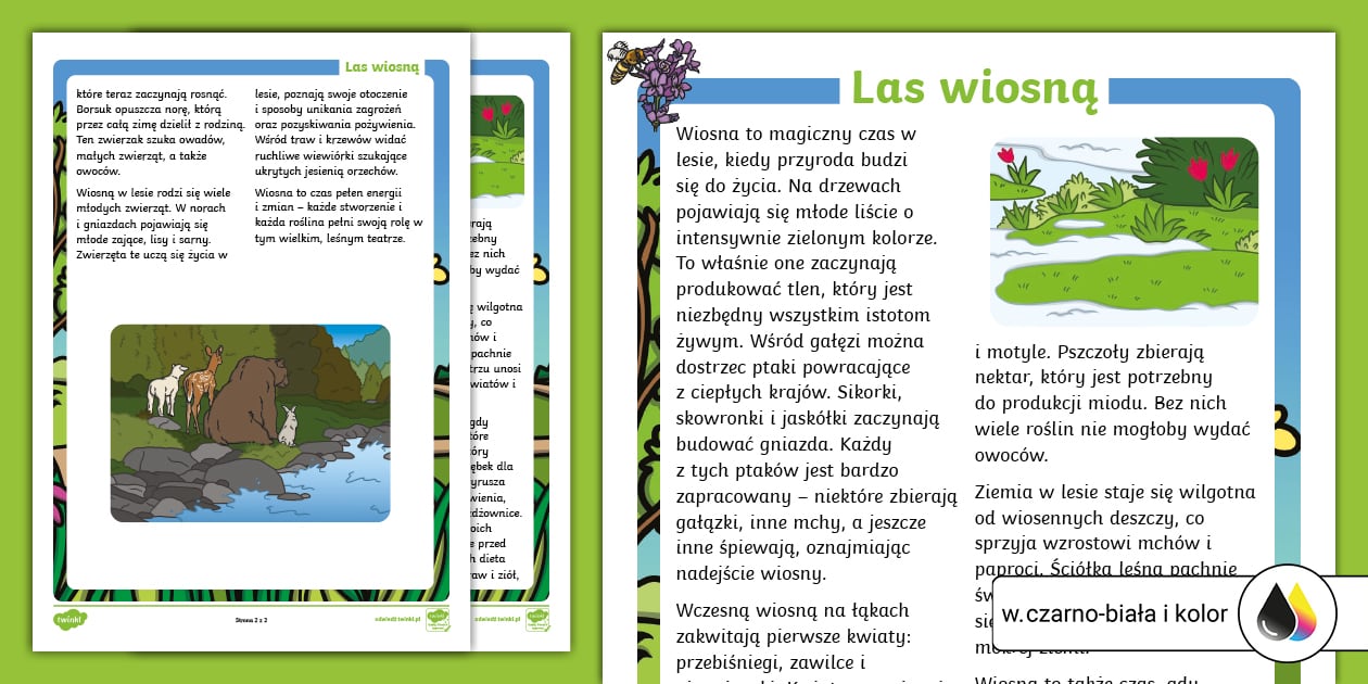 Czytanie Ze Zrozumieniem Klasa 6 Hobbit Las wiosną | Czytanie ze zrozumieniem (teacher made)