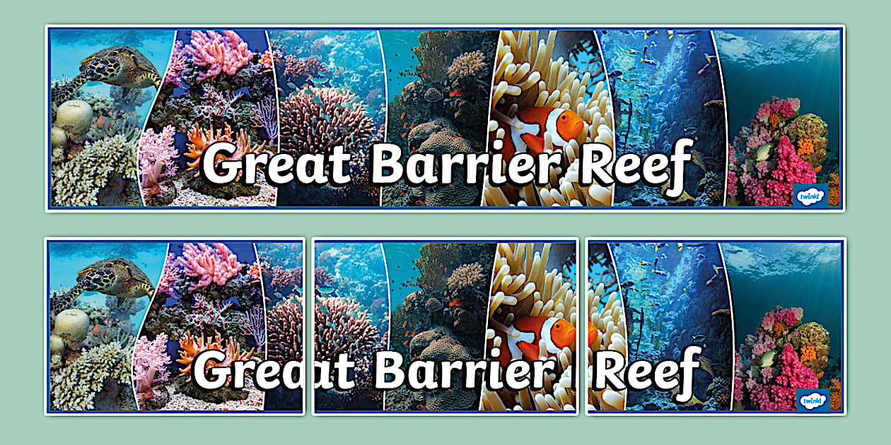 Great Barrier Reef Photo Display Banner (teacher made)