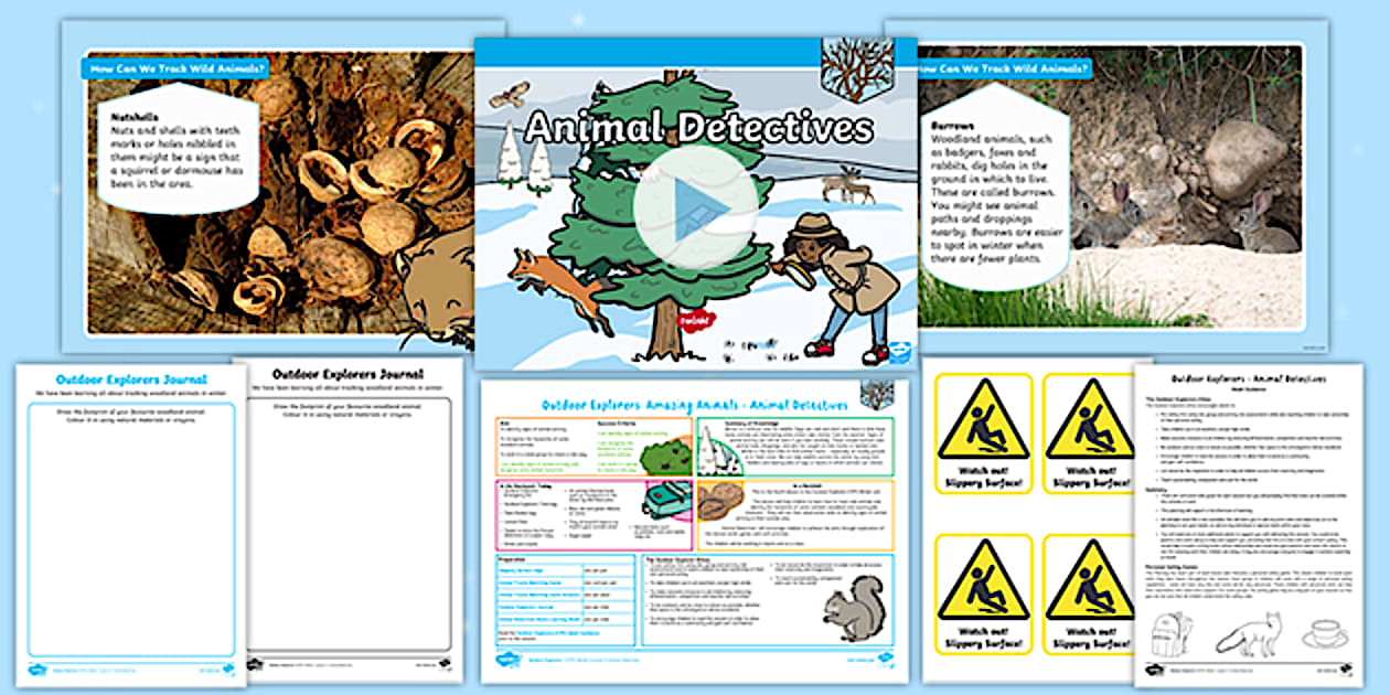 Outdoor Explorers EYFS Winter Lesson 4 Animal Detectives