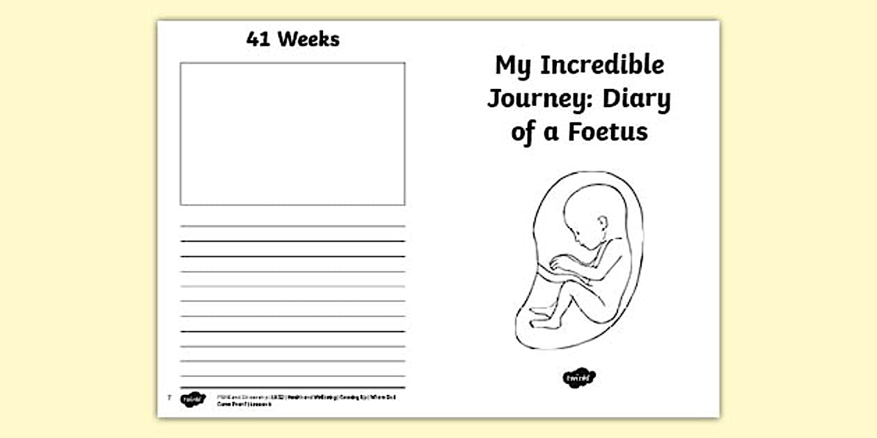 RSHE Human Reproduction Diary of a Foetus Activity