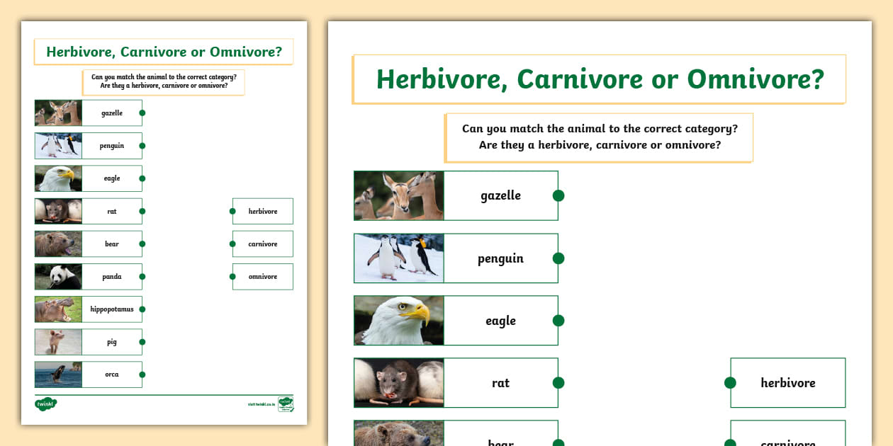 Herbivore Carnivore Or Omnivore Matching Worksheet Twinkl Herbivore Carnivore Or Omnivore Matching Worksheet Twinkl