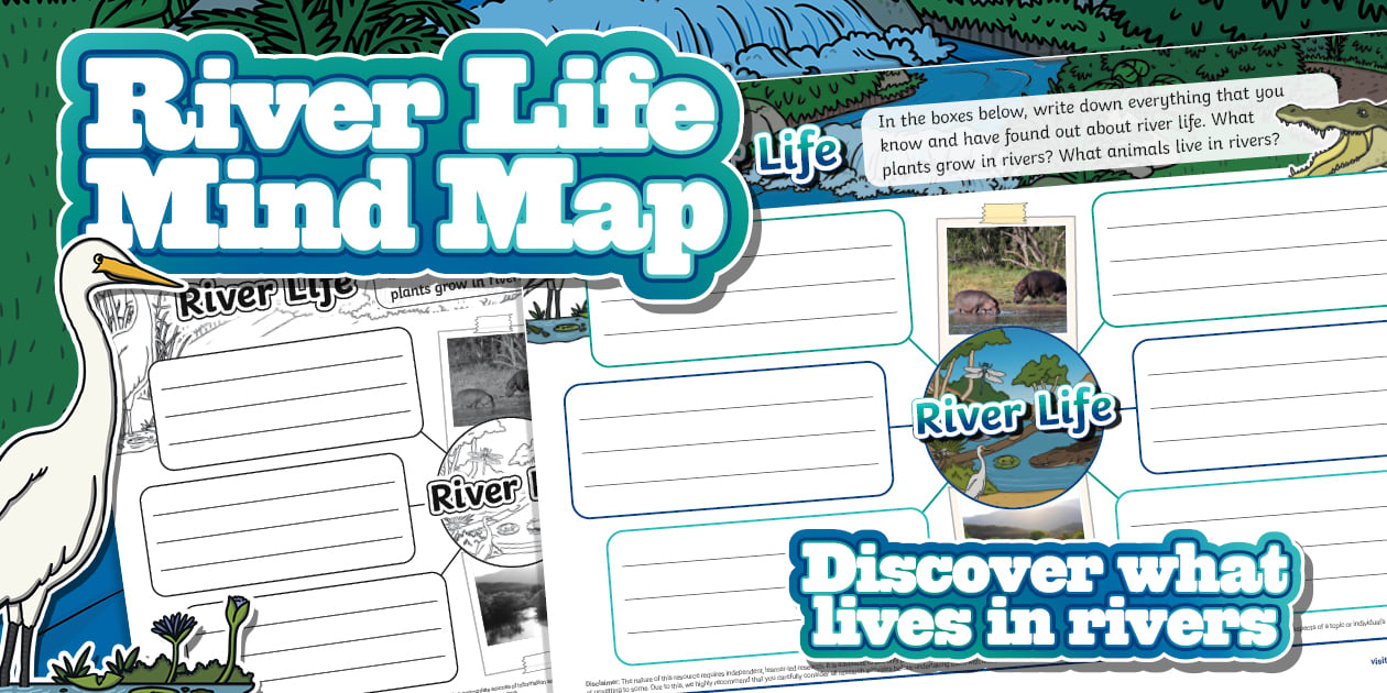 Foundation Phase Map Foundation Phase Life Skills - River Life - Mind Map