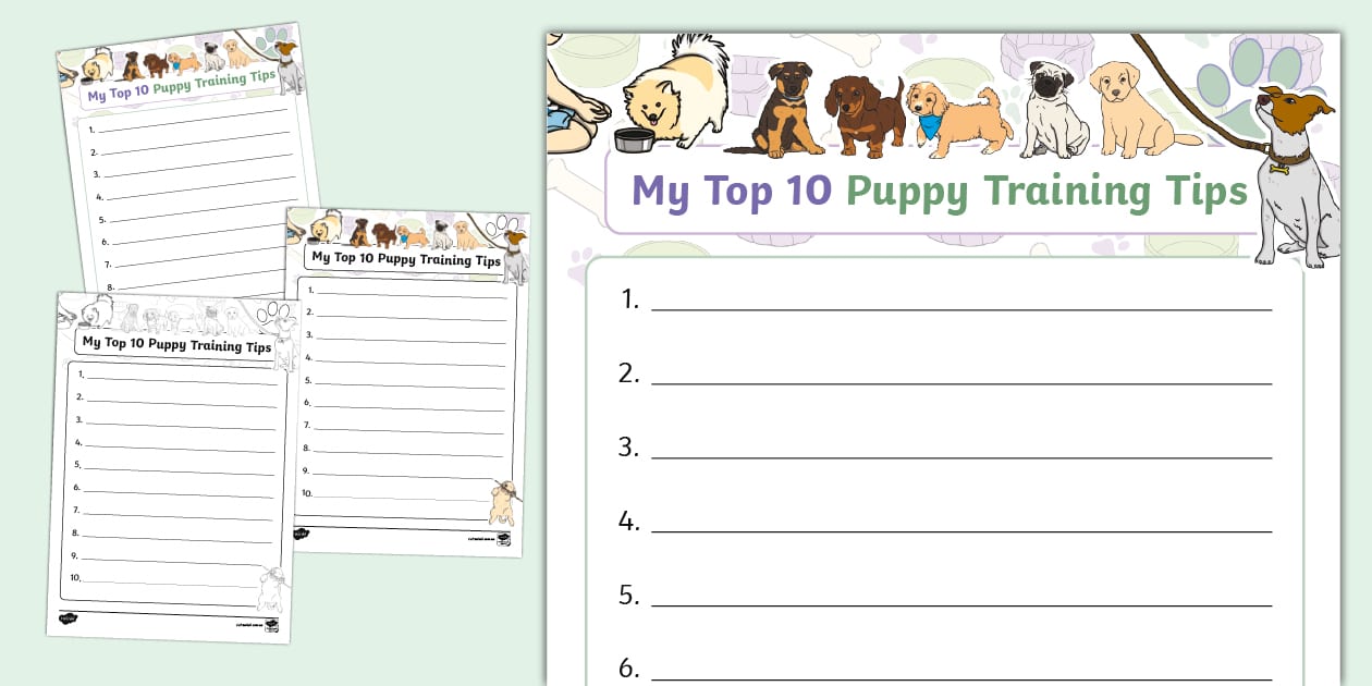 My Top 10 Puppy Training Tips Writing Template
