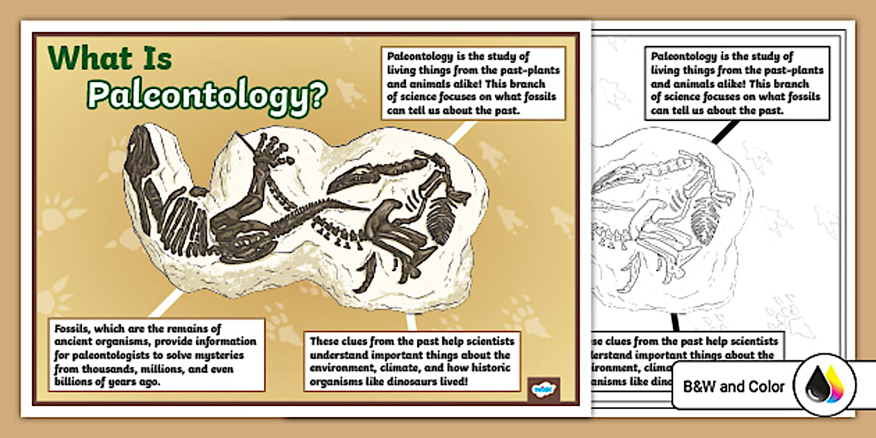 What is Paleontology Poster | Science Resource | Twinkl USA