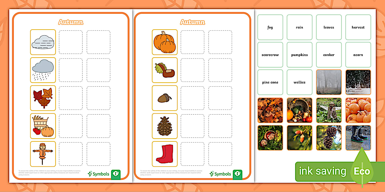 Twinkl Symbols: Autumn Cut and Stick Matching Activity