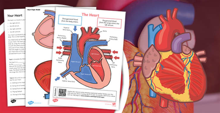 National Heart Month