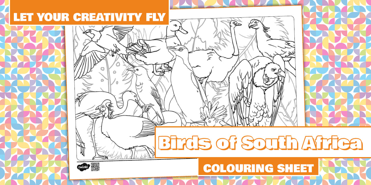 Sab Colouring Foundation Phase Life Skills - Birds of South Africa - Colouring Sheet ...