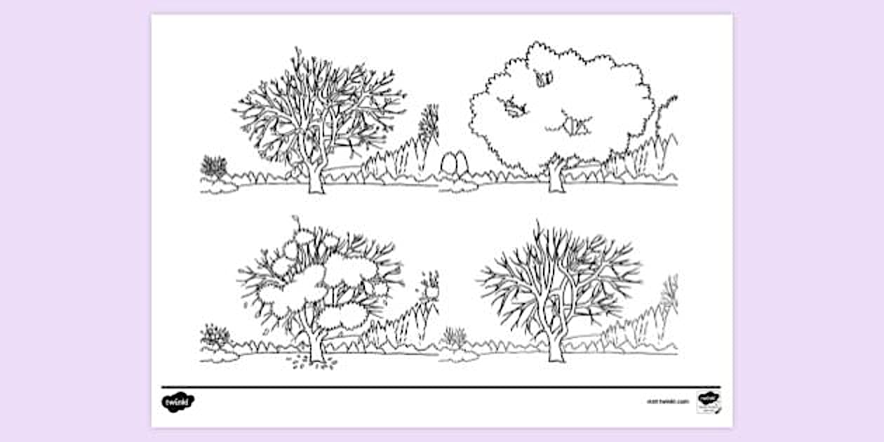 Seasons Colouring Page - Colouring Resources (teacher made)