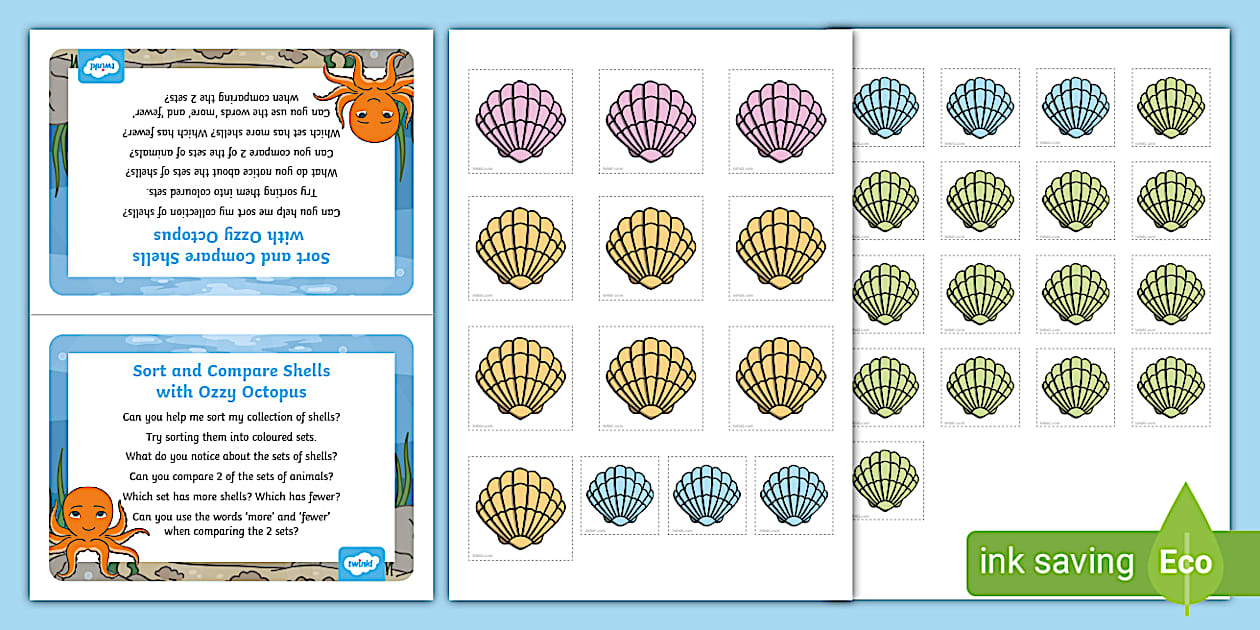 👉 Sort and Compare Shells Activity | Twinkl - Twinkl