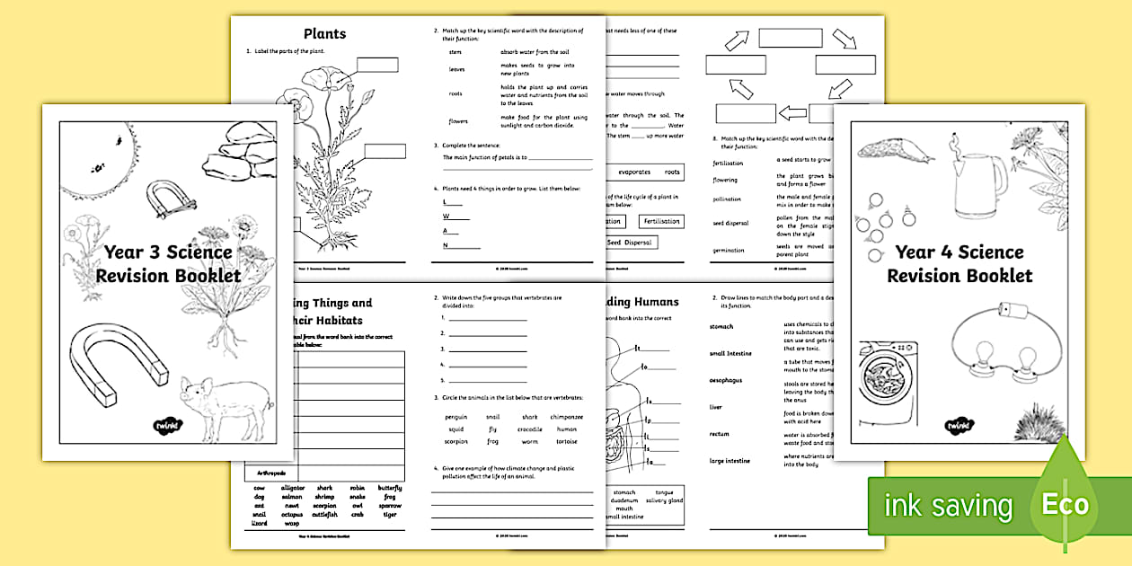 editable-lks2-science-revision-booklet-teacher-made