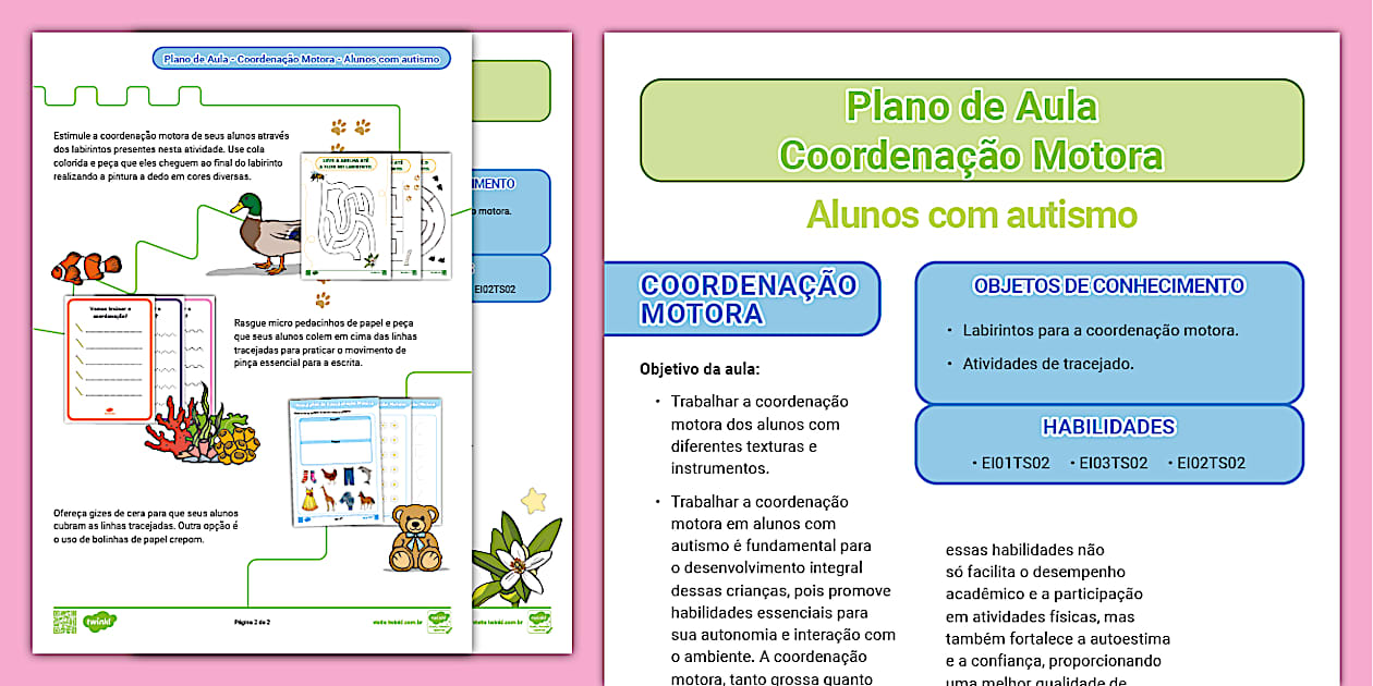FREE! - Plano de aula para trabalhar coordenação motora com alunos com ...