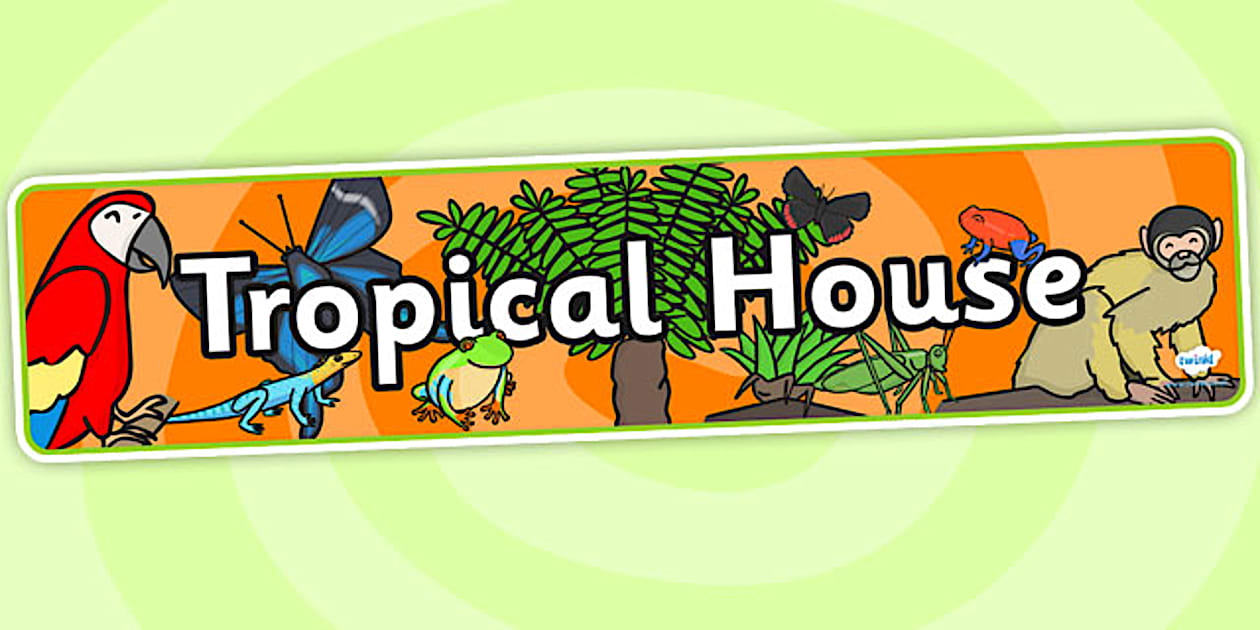 Tropical House Role Play Banner (Hecho por educadores)