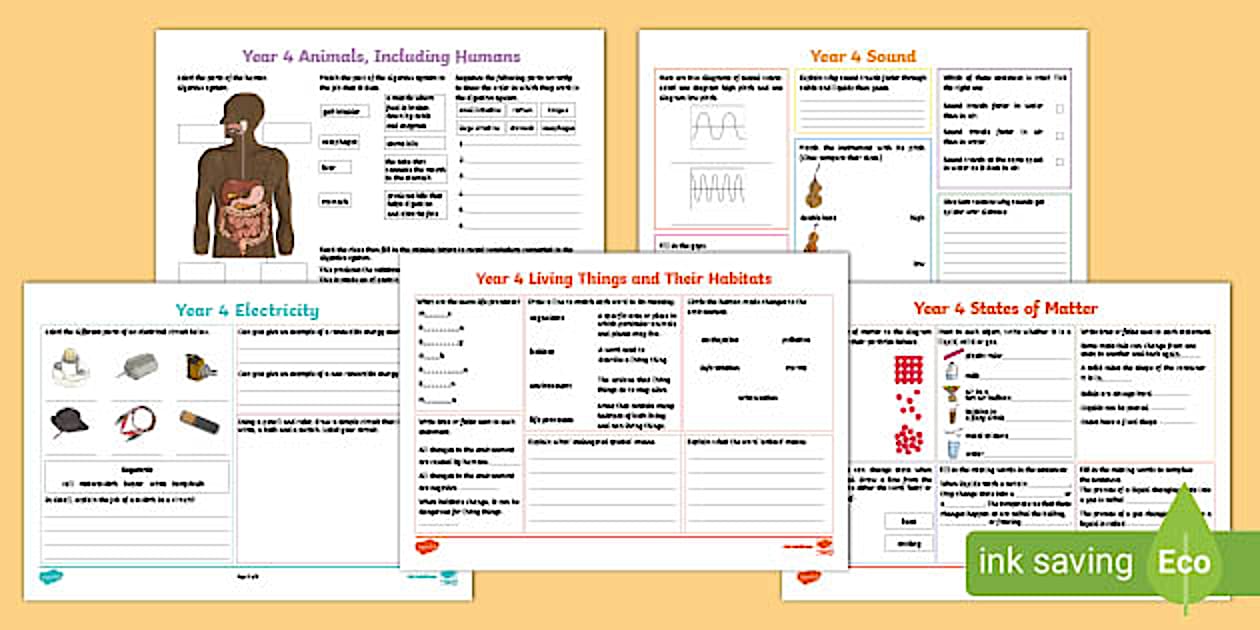 Year 4 Science Revision Activity Mat Pack (teacher made)
