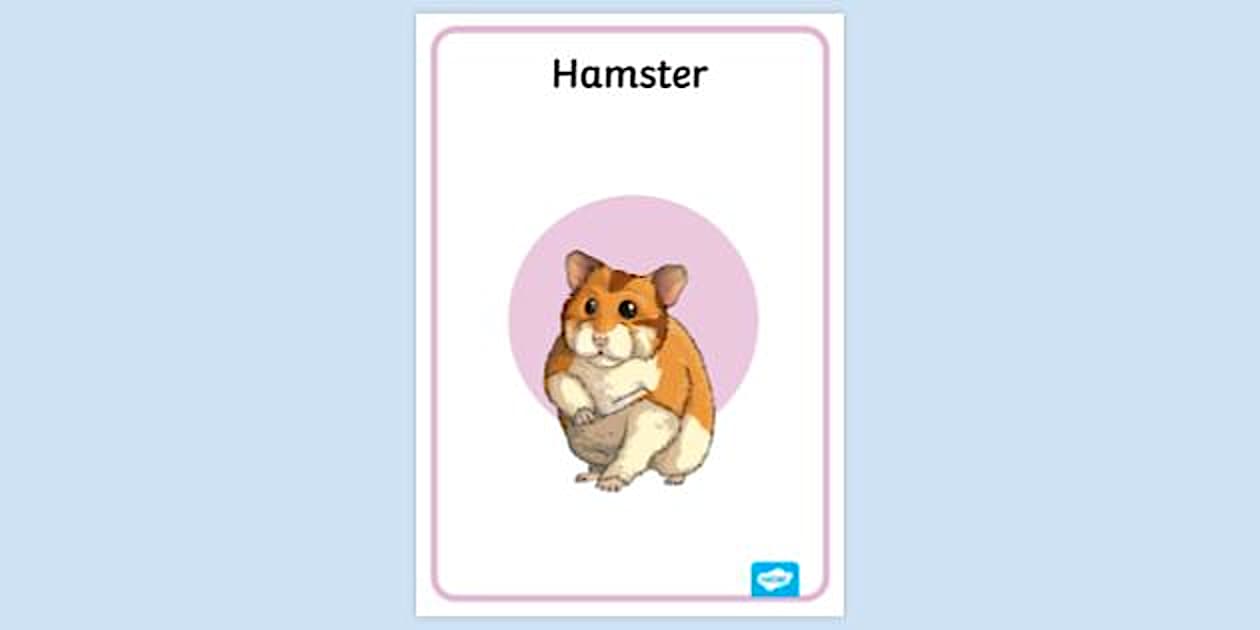 View of Dwarf Hamster Poster | Primary Resources | Twinkl - Twinkl