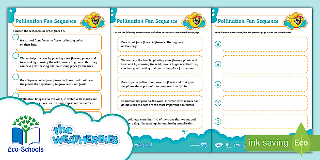 The Weatherbies Pollination Fun Sequence Differentiated Activity