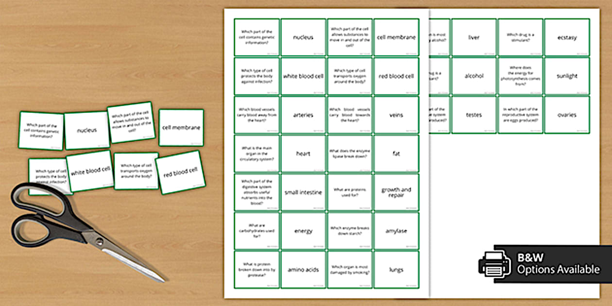 Biology Revision Jigsaw | KS3 Science | Beyond - Twinkl