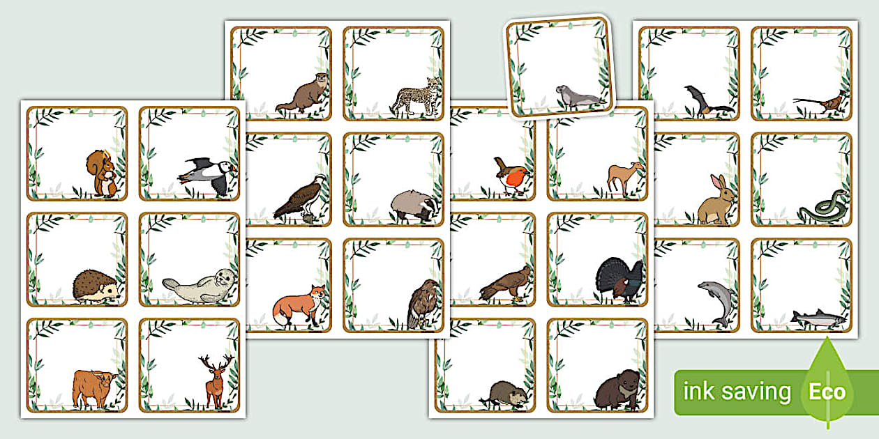 Botanical Themed Scottish Wildlife Peg Labels (teacher made)