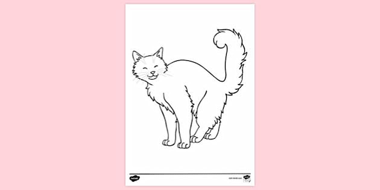 Cat Colouring | Colouring Sheets (teacher made) - Twinkl