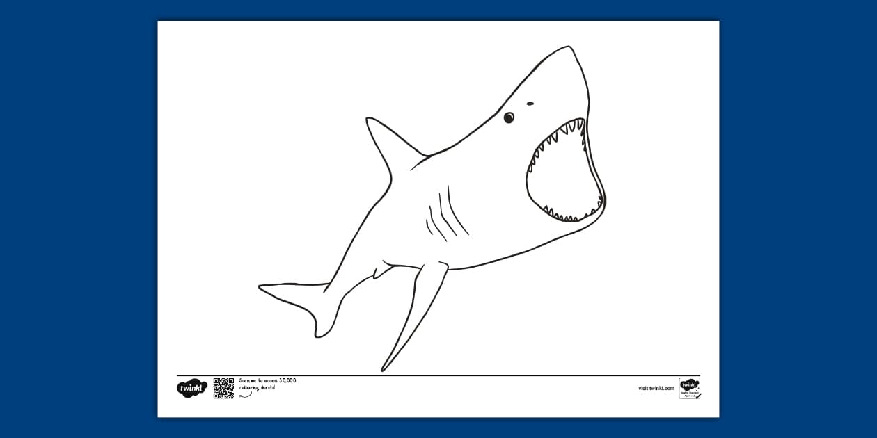 Shark Colouring Colouring Sheets (teacher made) Twinkl