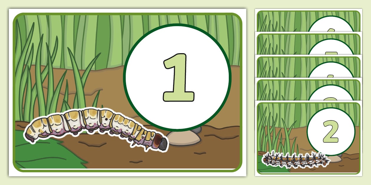Caterpillar and Leaf Counting Game (teacher made) - Twinkl