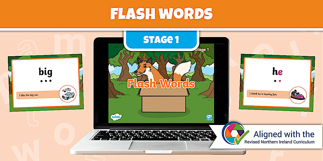 Stage 1 Flash Words PowerPoint