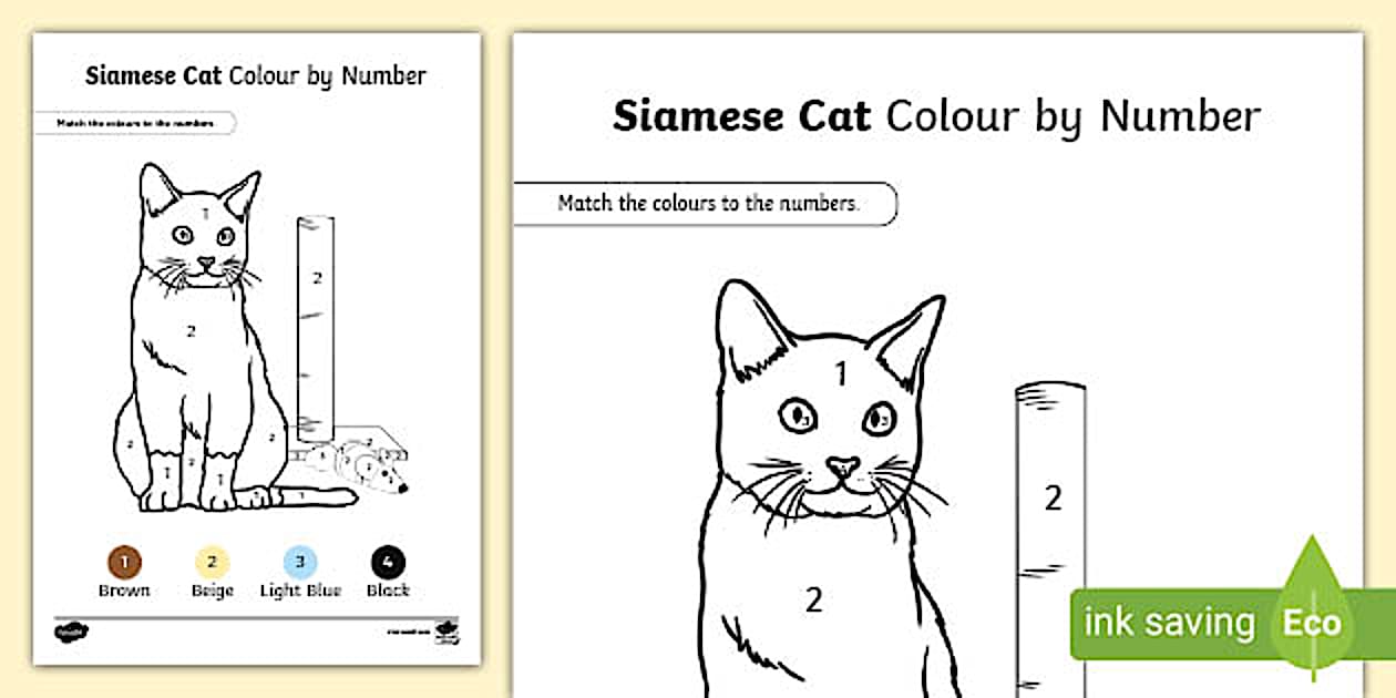 Siamese Cat Colour By Number (teacher made) - Twinkl