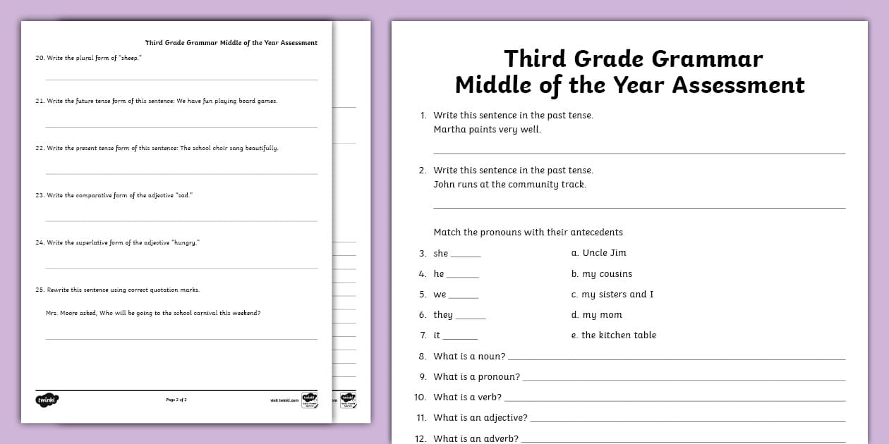 Third Grade Middle of the Year ELA Grammar Assessment