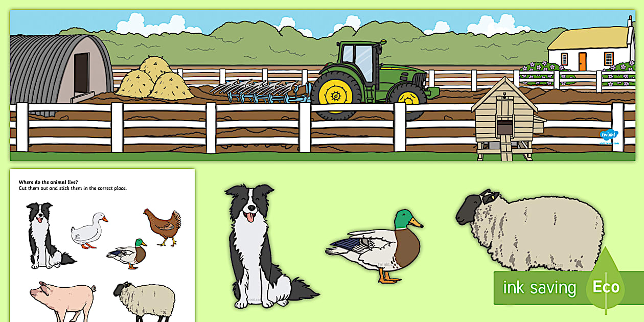 Editable Farm Sorting and Grouping Activity (teacher made)
