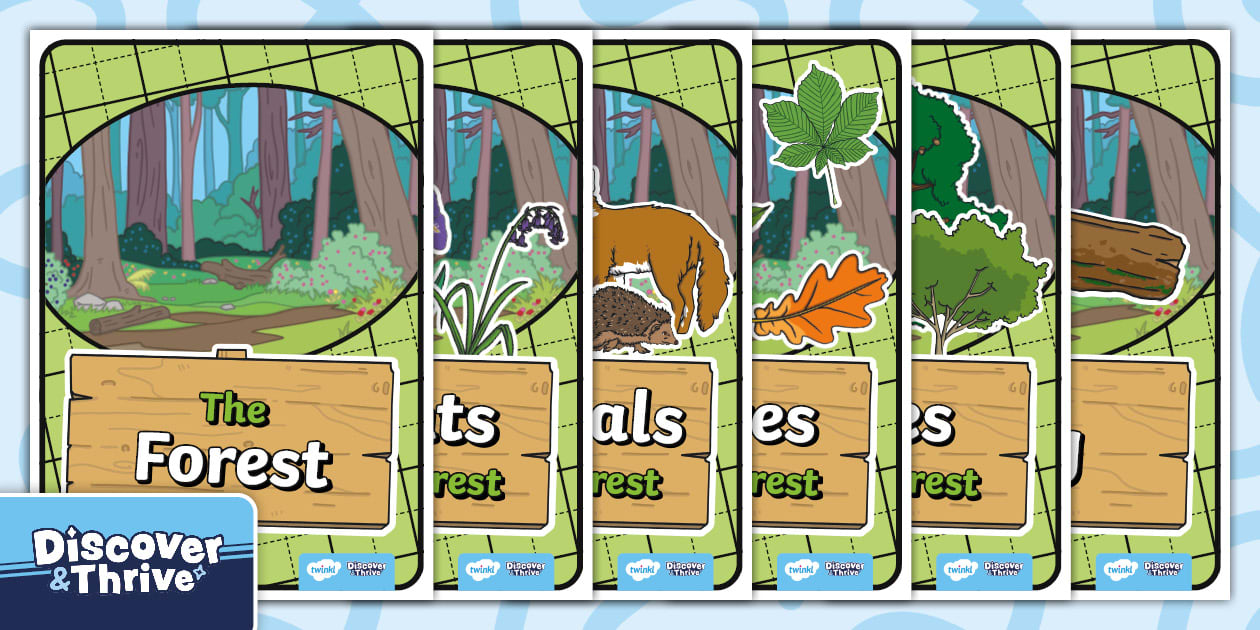 STEM (Materials) The Forest Poster (Senior Infants) - Twinkl