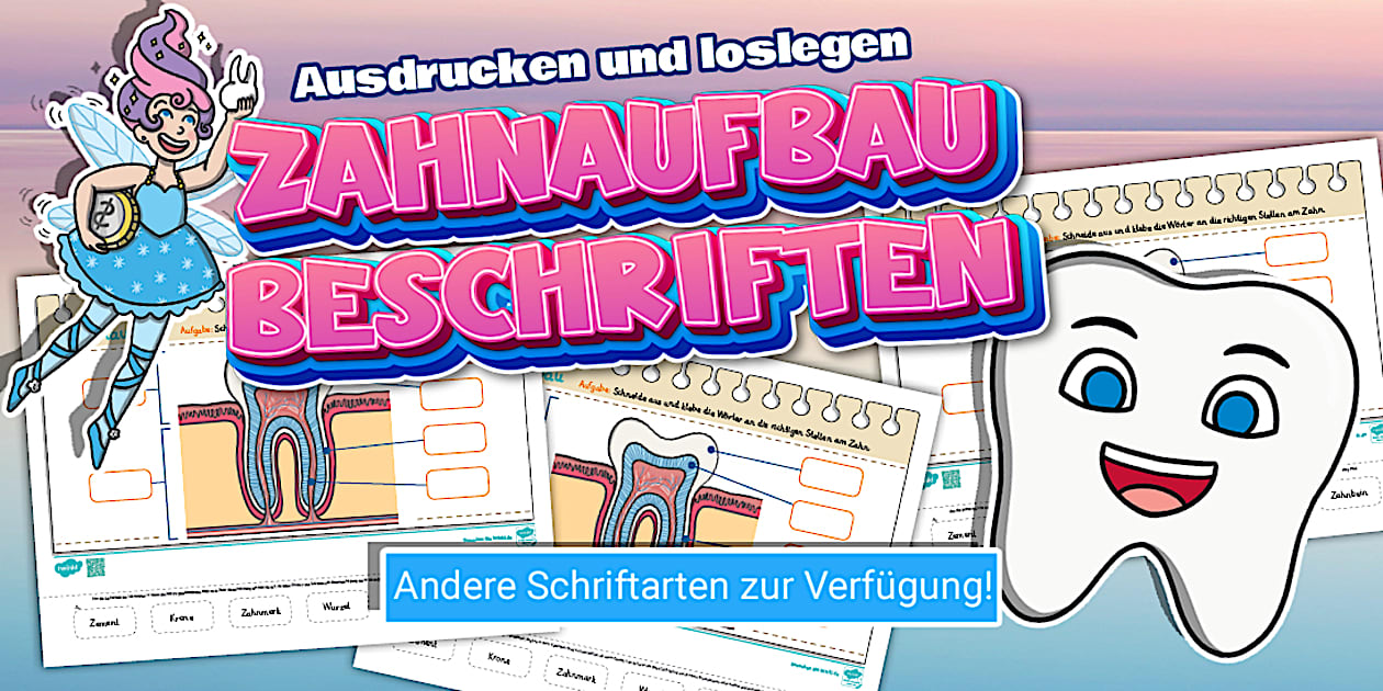 Zahnaufbau Beschriften Differenziertes Arbeitsblatt zahnaufbau-beschriften-differenziertes-arbeitsblatt