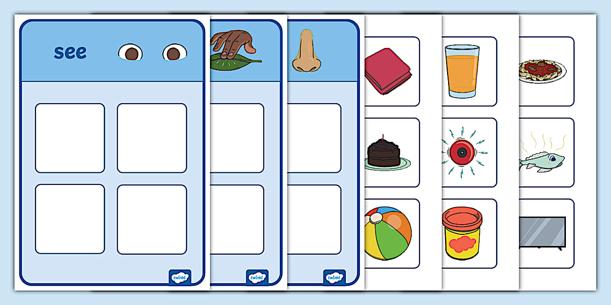 Five Senses Sorting Activity (teacher made) Twinkl