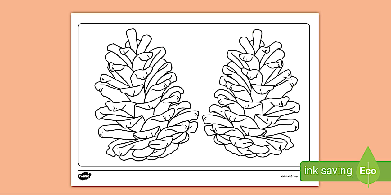 Fir Cones Colouring Page (teacher made) - Twinkl