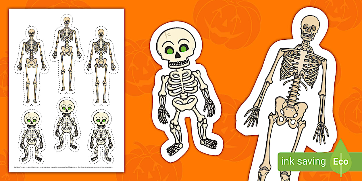 Small Skeleton Cut Outs (teacher made) Twinkl