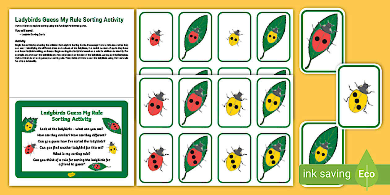 👉 Ladybirds Guess My Rule Sorting Activity (teacher made)