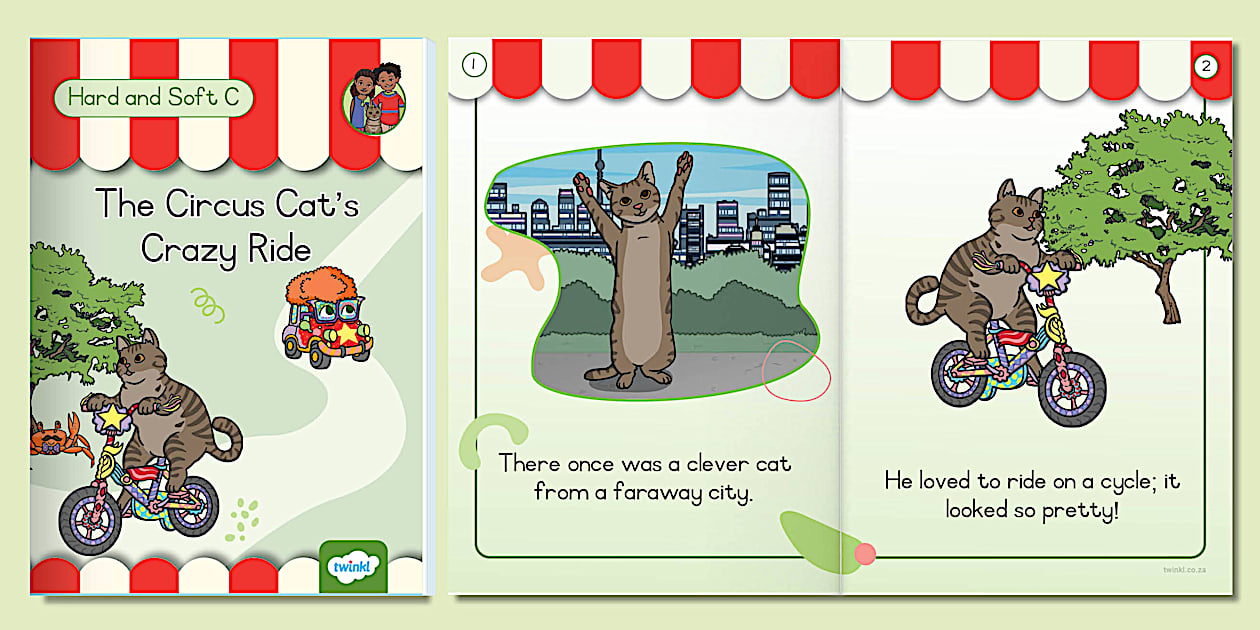 Grade 3 Phonics eBook - Hard and Soft c (teacher made)