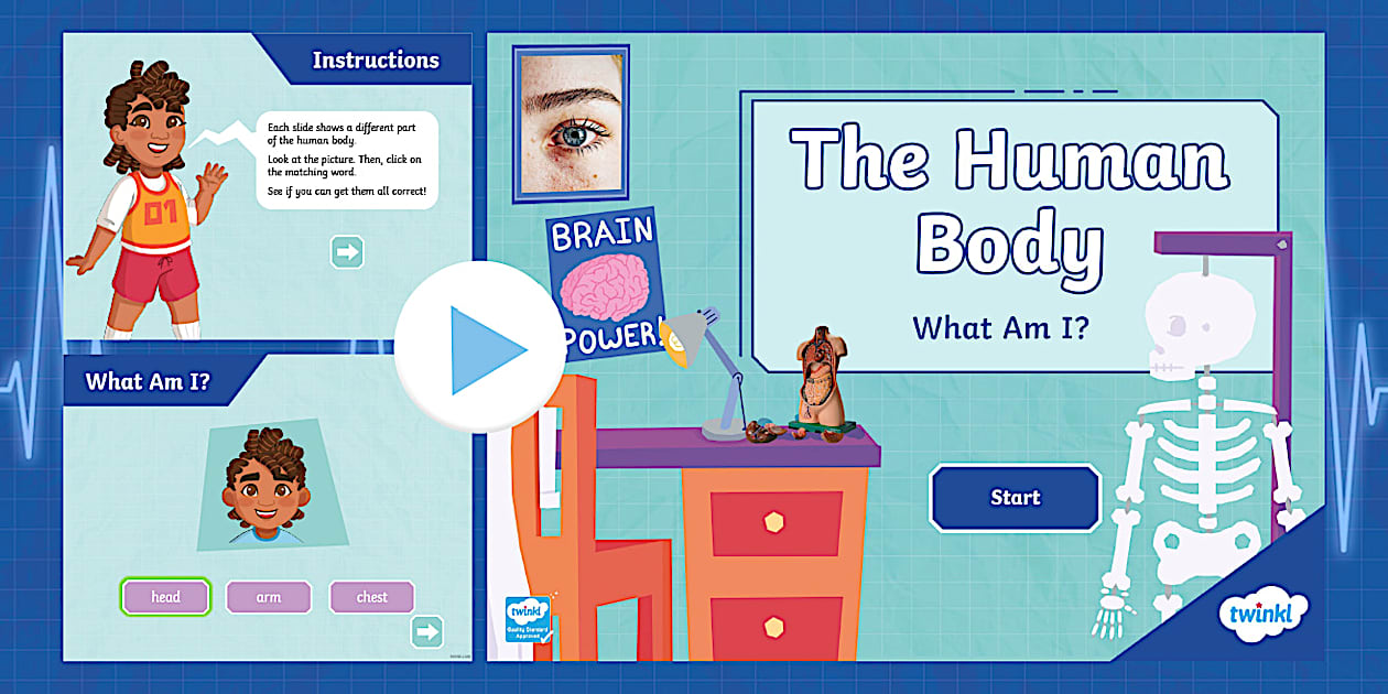 The Human Body Word Matching PowerPoint Game - Twinkl
