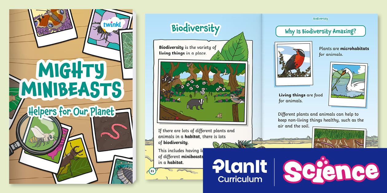Beasts Science Science: Biodiversity - Minibeasts: Mighty Minibeasts eBook Year 2