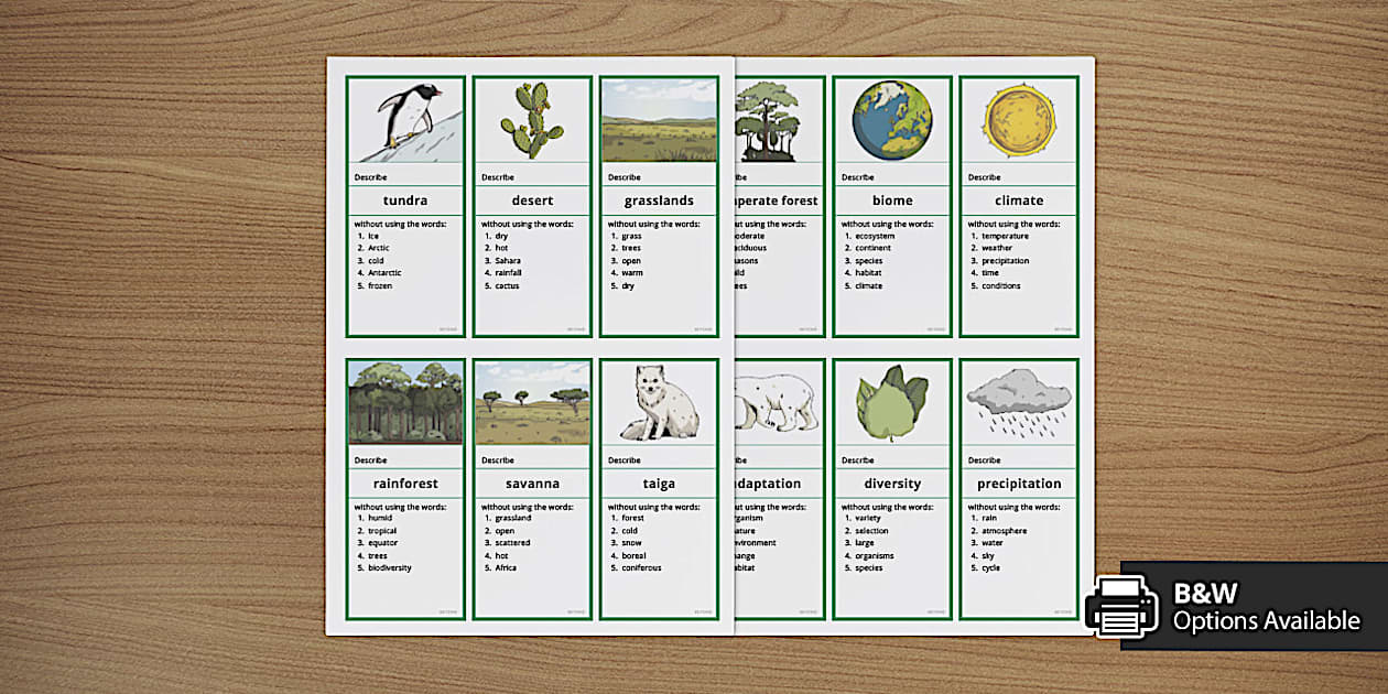Biomes Can You Guess? Activity Cards – Beyond Science