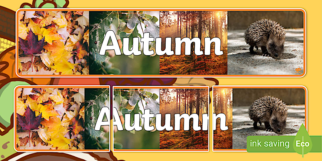 Four Seasons Photo Display Banners Autumn