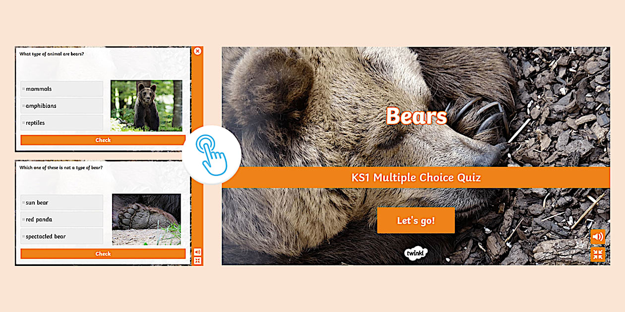 KS1 Bears Interactive Quiz - Animals - Mammals - Twinkl